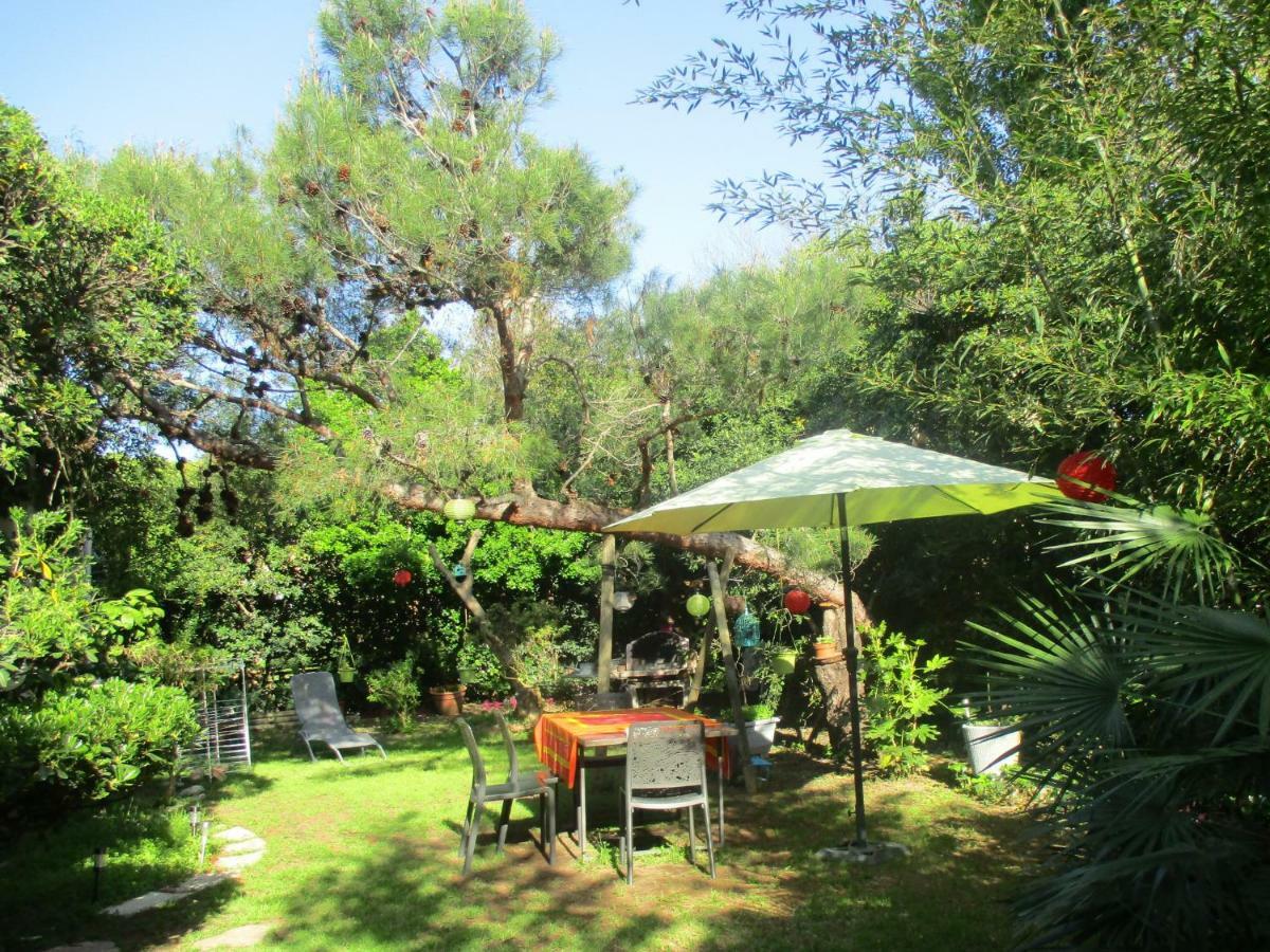 Jardin Et Bambous, Studio Cosy, Classe 2 Etoiles Marseillan Kültér fotó
