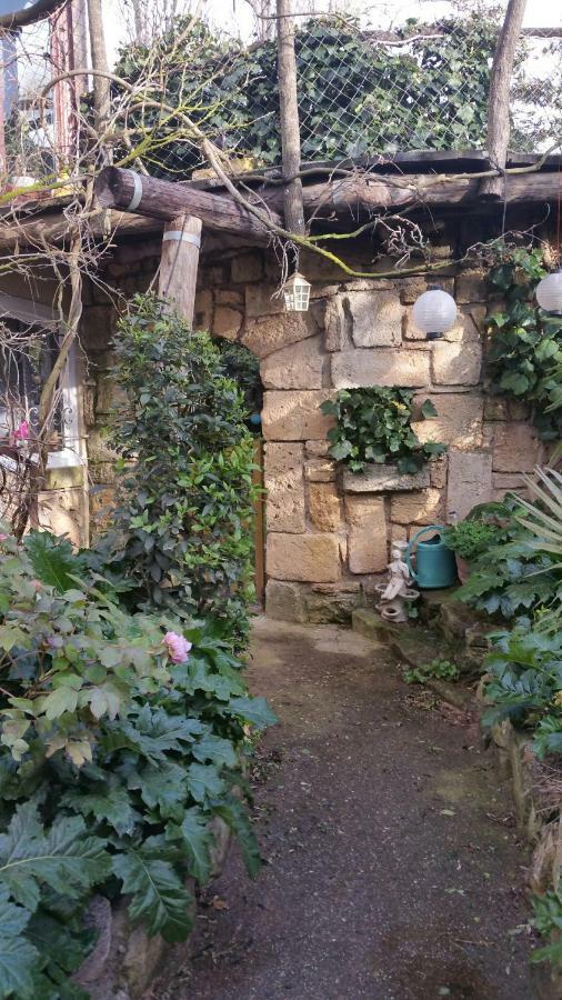 Jardin Et Bambous, Studio Cosy, Classe 2 Etoiles Marseillan Kültér fotó