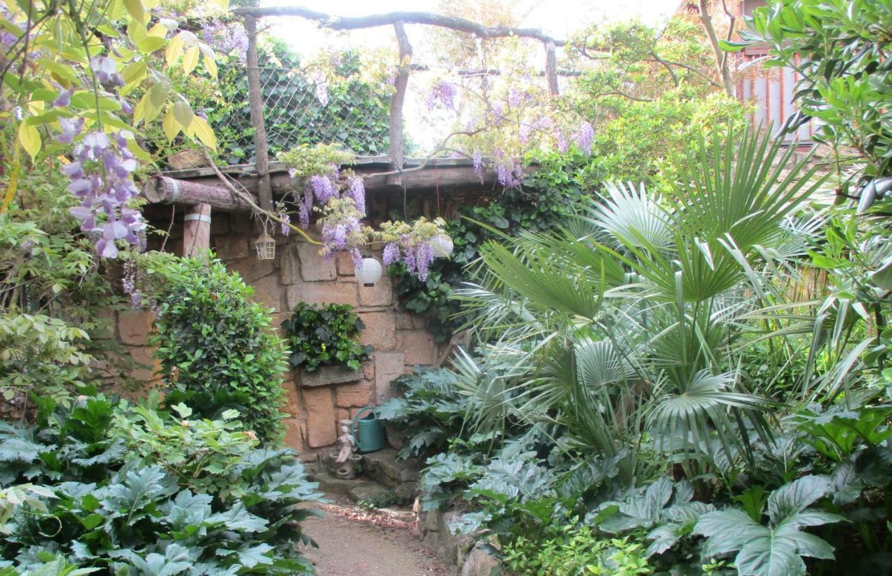 Jardin Et Bambous, Studio Cosy, Classe 2 Etoiles Marseillan Kültér fotó