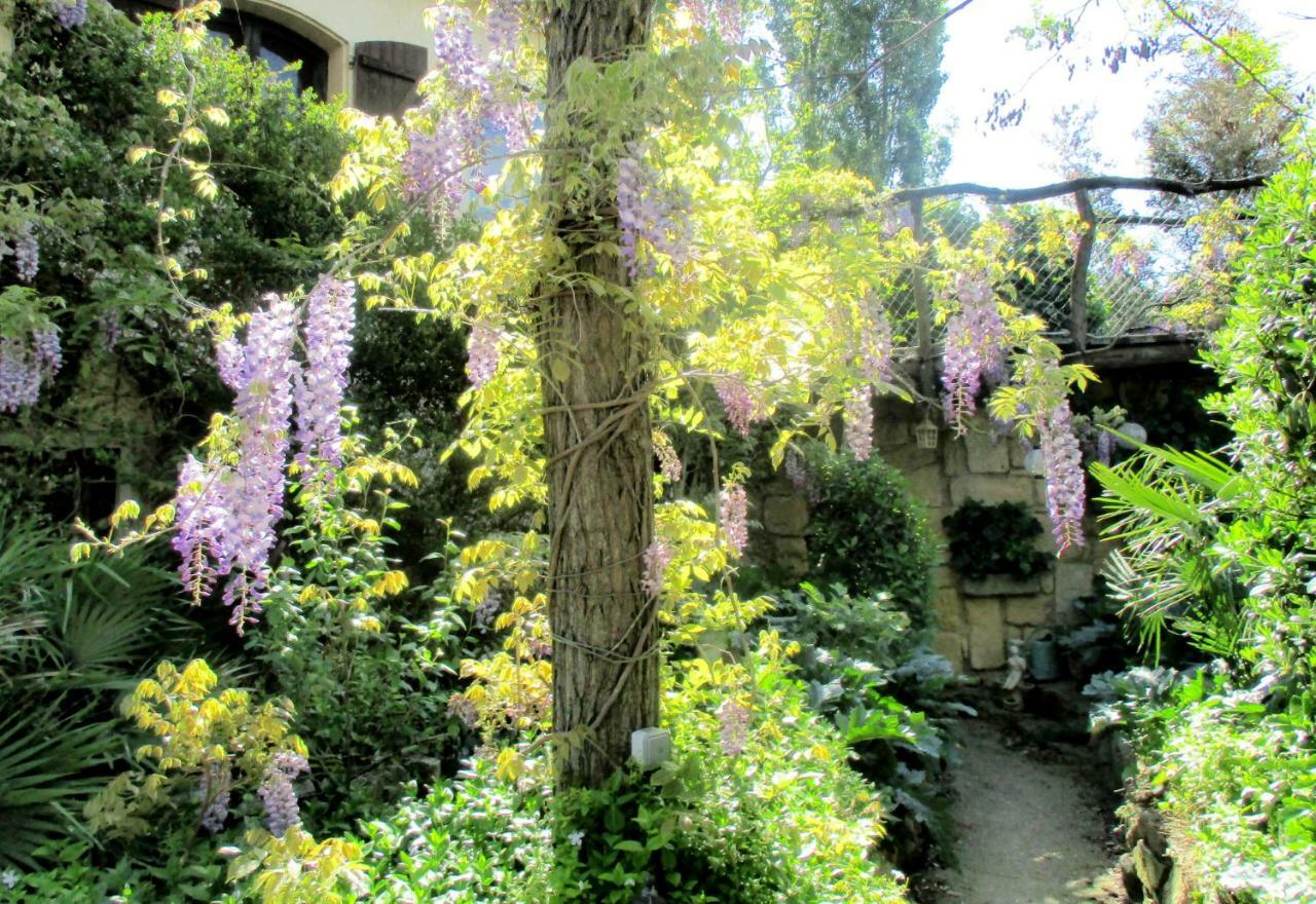 Jardin Et Bambous, Studio Cosy, Classe 2 Etoiles Marseillan Kültér fotó
