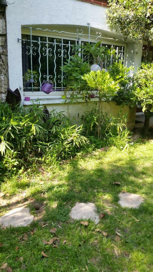 Jardin Et Bambous, Studio Cosy, Classe 2 Etoiles Marseillan Kültér fotó