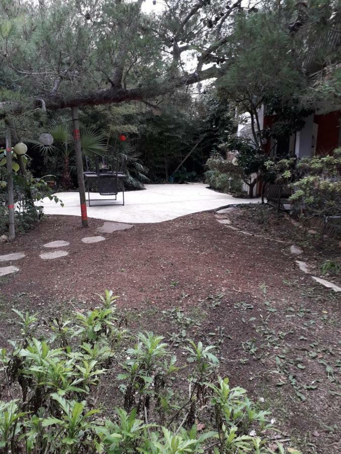 Jardin Et Bambous, Studio Cosy, Classe 2 Etoiles Marseillan Kültér fotó