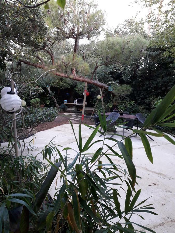 Jardin Et Bambous, Studio Cosy, Classe 2 Etoiles Marseillan Kültér fotó