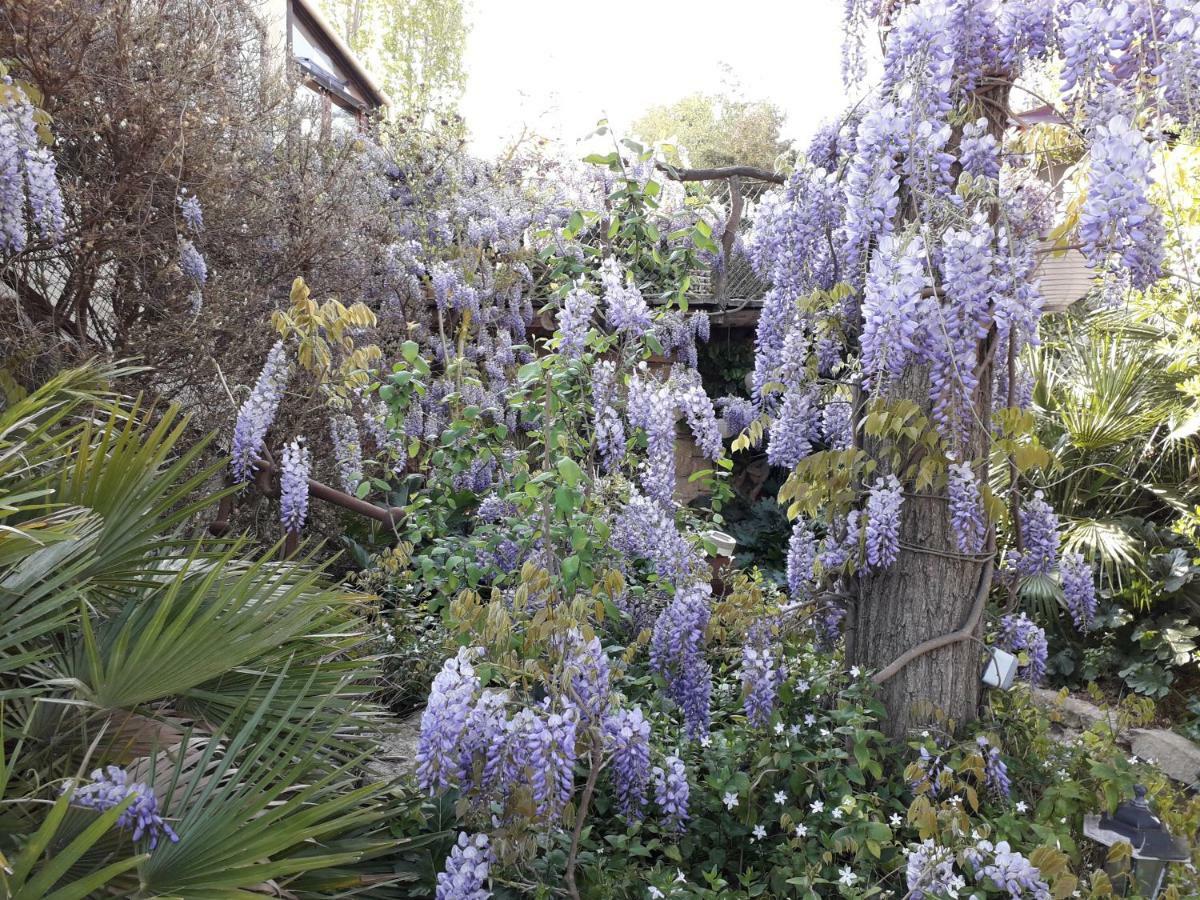Jardin Et Bambous, Studio Cosy, Classe 2 Etoiles Marseillan Kültér fotó