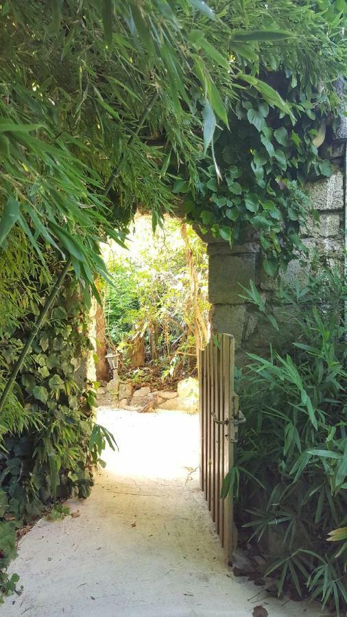 Jardin Et Bambous, Studio Cosy, Classe 2 Etoiles Marseillan Kültér fotó