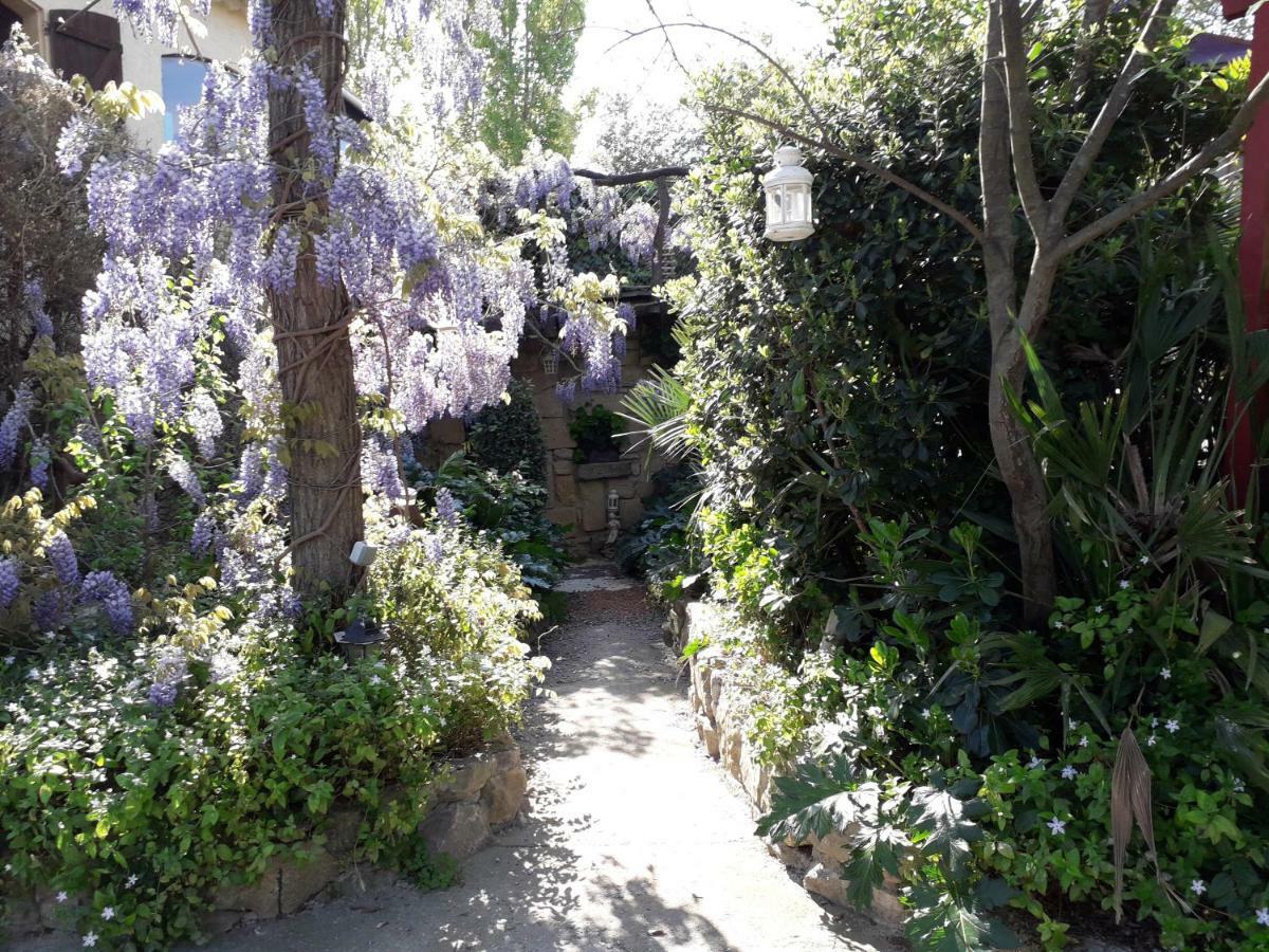 Jardin Et Bambous, Studio Cosy, Classe 2 Etoiles Marseillan Kültér fotó