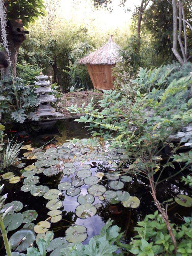 Jardin Et Bambous, Studio Cosy, Classe 2 Etoiles Marseillan Kültér fotó