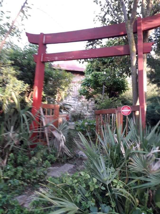 Jardin Et Bambous, Studio Cosy, Classe 2 Etoiles Marseillan Kültér fotó